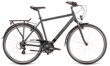 Bicykel Dema Arosa 2 sivý 2022
