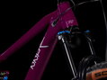 Bicykel Cube Stereo One22 Race wine 2026