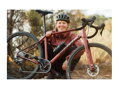 Bicykel Ghost Asket Advanced Al red-black 2024