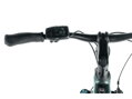 Elektro bicykel Leader Fox Dixon Lady oceľovozelený 2024