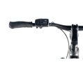 Elektro bicykel Leader Fox Dixon strieborný 2024