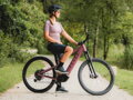 Elektro bicykel Pells Thorr Panasonic 1 raspberry 2027