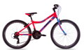 Bicykel Harry Xenix 24 ružový