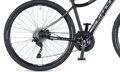 Bicykel Author Airline ASL 2019