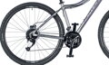 Bicykel Author Vertigo ASL strieborný 2019