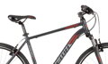 Bicykel Dema Aveiro 2.0 šedý 2020
