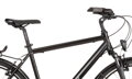 Bicykel Dema Arosa 1.0 2020