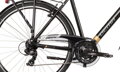 Bicykel Dema Arosa 1.0 2020