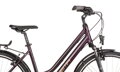 Bicykel Dema Arosa Lady hnedý 2020