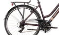 Bicykel Dema Arosa Lady hnedý 2020