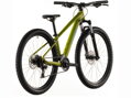 Bicykel Cube Acid 260 Disc lizard 2026