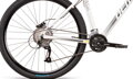 Bicykel Dema Pegas 7.0 svetlo-šedý 2020