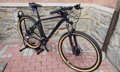 Bicykel Dema Energy 5 LTD anthracite 2022