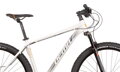 Bicykel Dema Energy 7.0 svetlošedý 2020