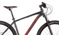 Bicykel Dema Energy 7.0 tmavošedý 2020