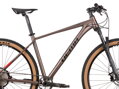 Bicykel Dema Energy Team hnedý 2022