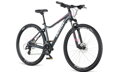 Bicykel Dema Ravena 3.0 sivý 2019
