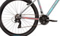 Bicykel Dema Tigra 1.0 šedý 2020