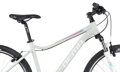 Bicykel Dema Tigra 1.0 svetlo-šedý 2019