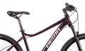 Bicykel Dema Tigra 5 bordo 2021