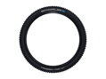 Plášť Schwalbe 29x2,25 Nobby Nic Evolution TLE SpeedGrip
