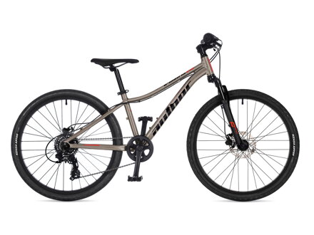 Bicykel Author A-Matrix 24 Disc titánový 2026