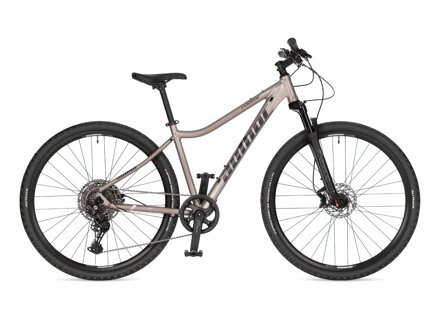 Bicykel Author Codex ASL matný titánový 2026