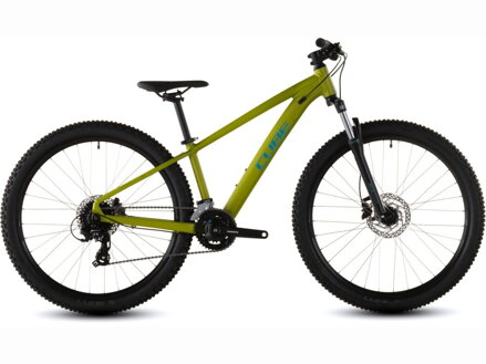 Bicykel Cube Acid 260 Disc lizard 2026