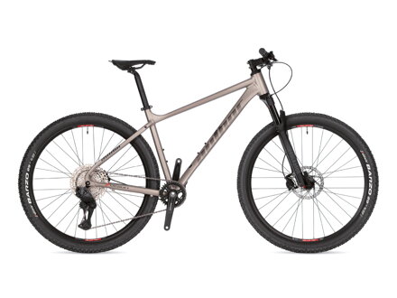 Bicykel Author Vision matný titánový 2026