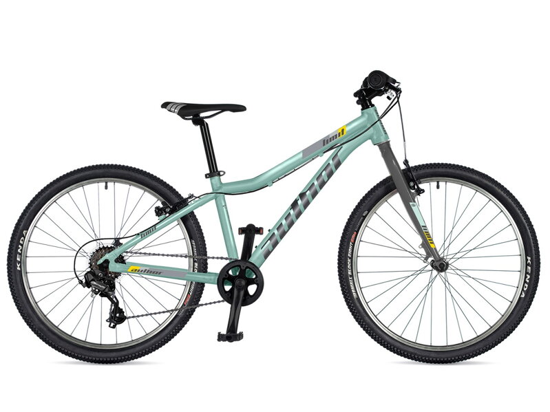 Bicykel Author Limit 24 zelený-strieborný-2025