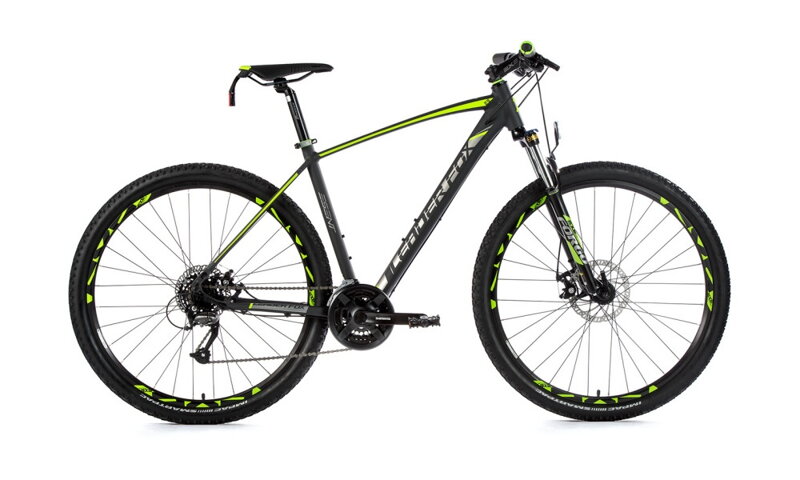Bicykel Leader Fox Esent 29 sivý-zelený 2019
